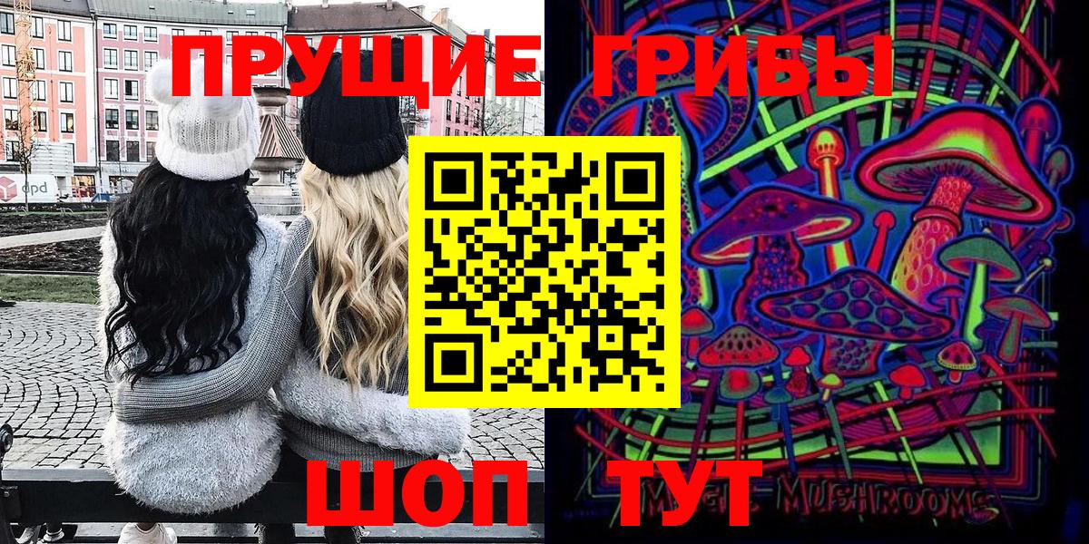 Галлюциногенные грибы Psilocybe Абинск