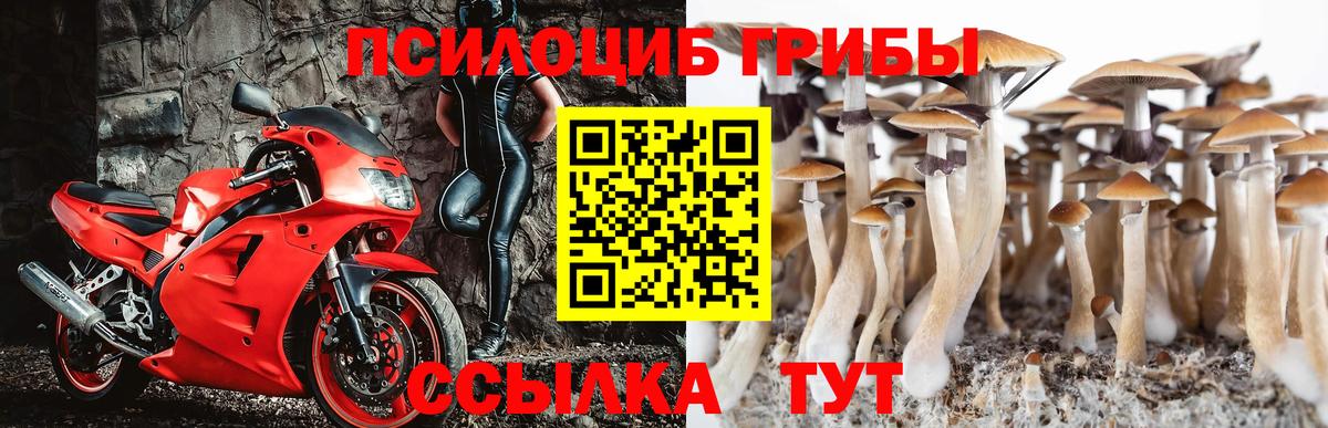 Абинск  Псилоцибиновые грибы ЛСД  Вход с VPN 